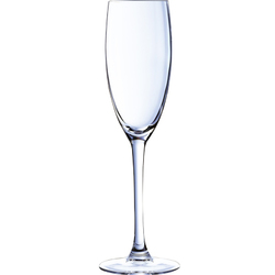 Horecaplaats.nu | Cabernet Champagne flute 16CL