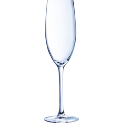 Horecaplaats.nu | Cabernet Champagne flute 24CL 